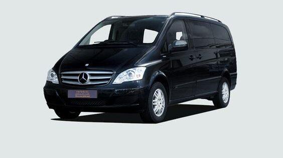 mpv66 e1732921781649